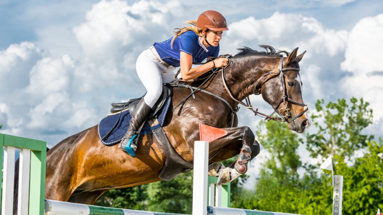 Une personne fait de l'équitation.