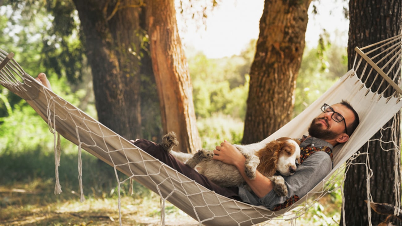 Un homme relaxe sur un hamac avec son chien.