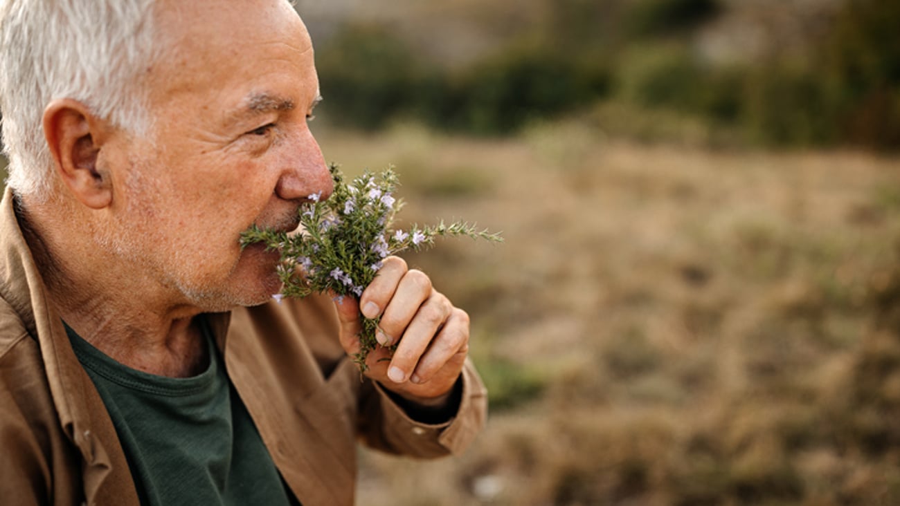 Un homme âgé sent un bouquet d'herbes
