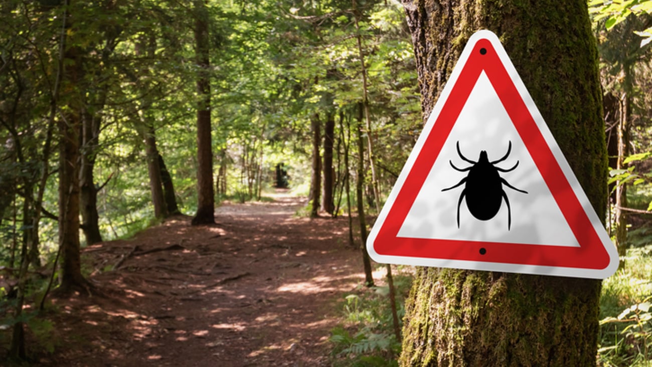 Un panneau alertant sur la présence de tiques en forêt