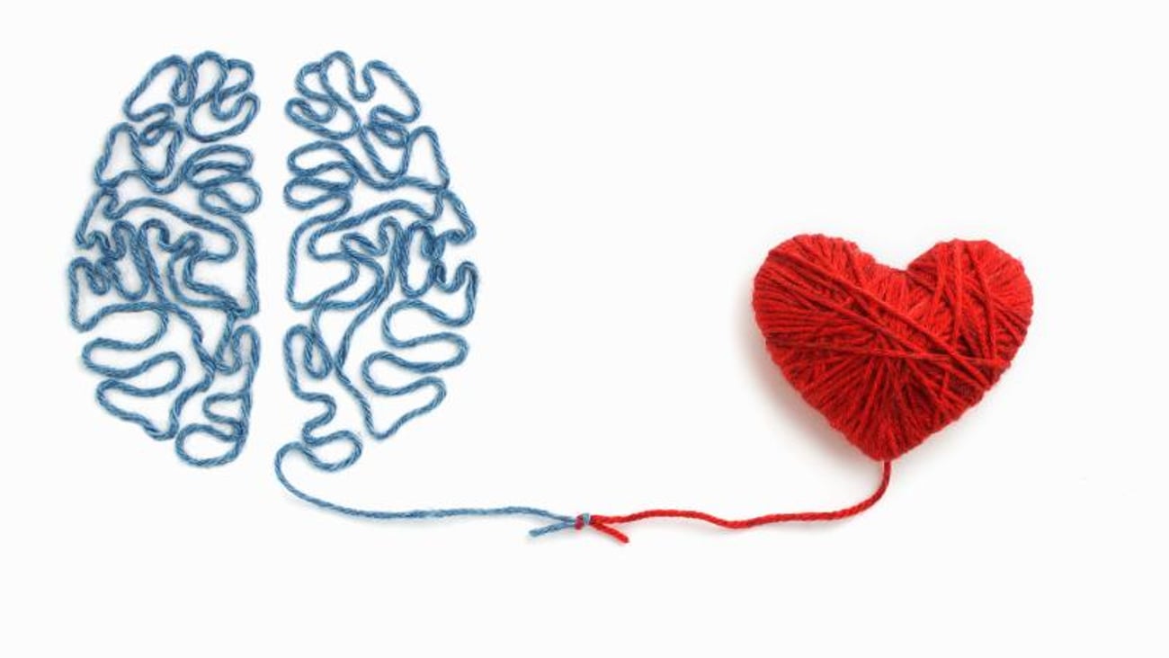 Un coeur et un cerveau connectés faits avec du fil