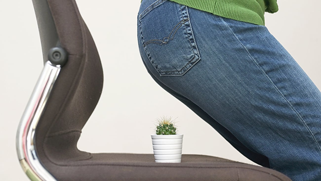 patient s'asseyant sur un cactus - hémorroïdes