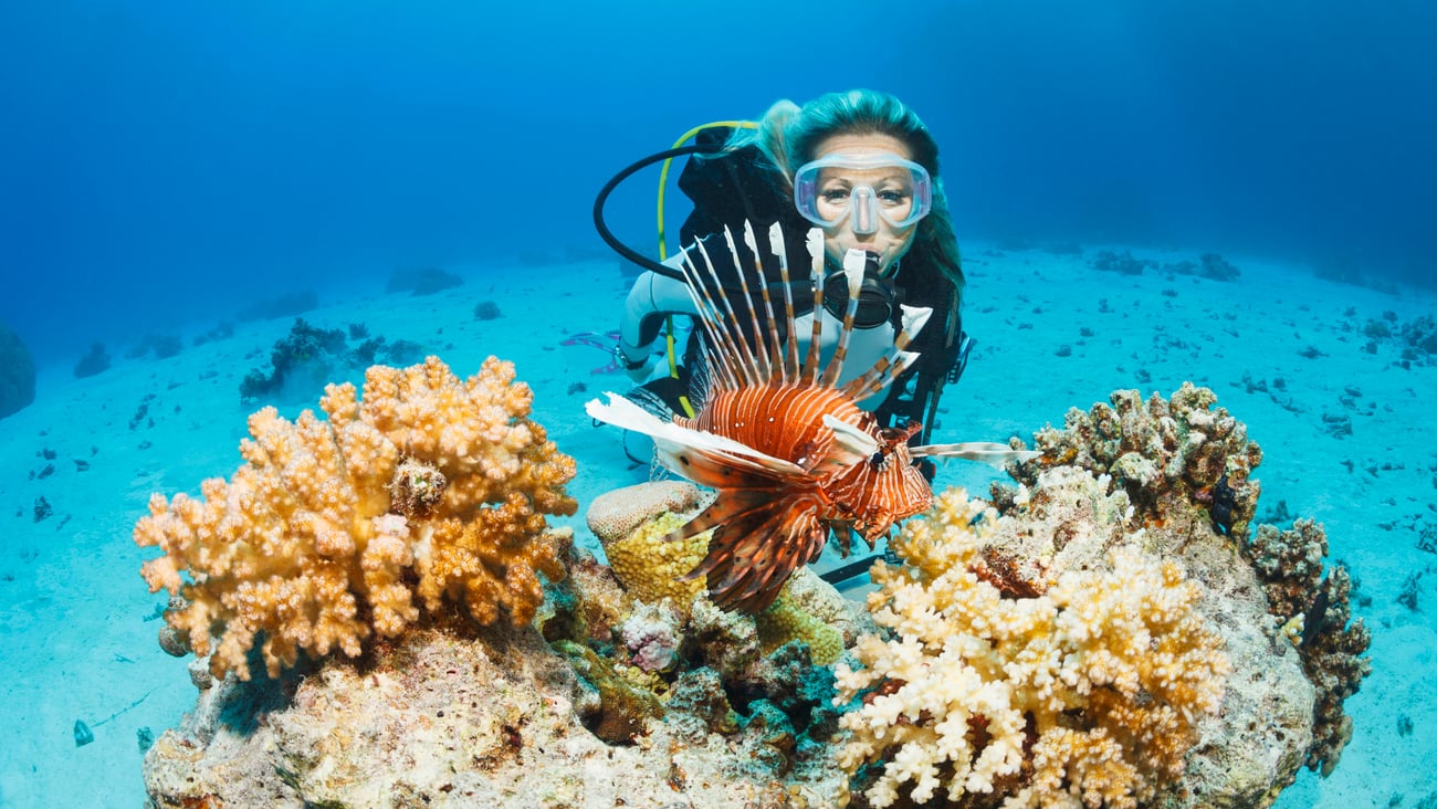 Une femme nage près d'un poisson-lion. Crédit photo: ultramarinfoto/ Getty Images