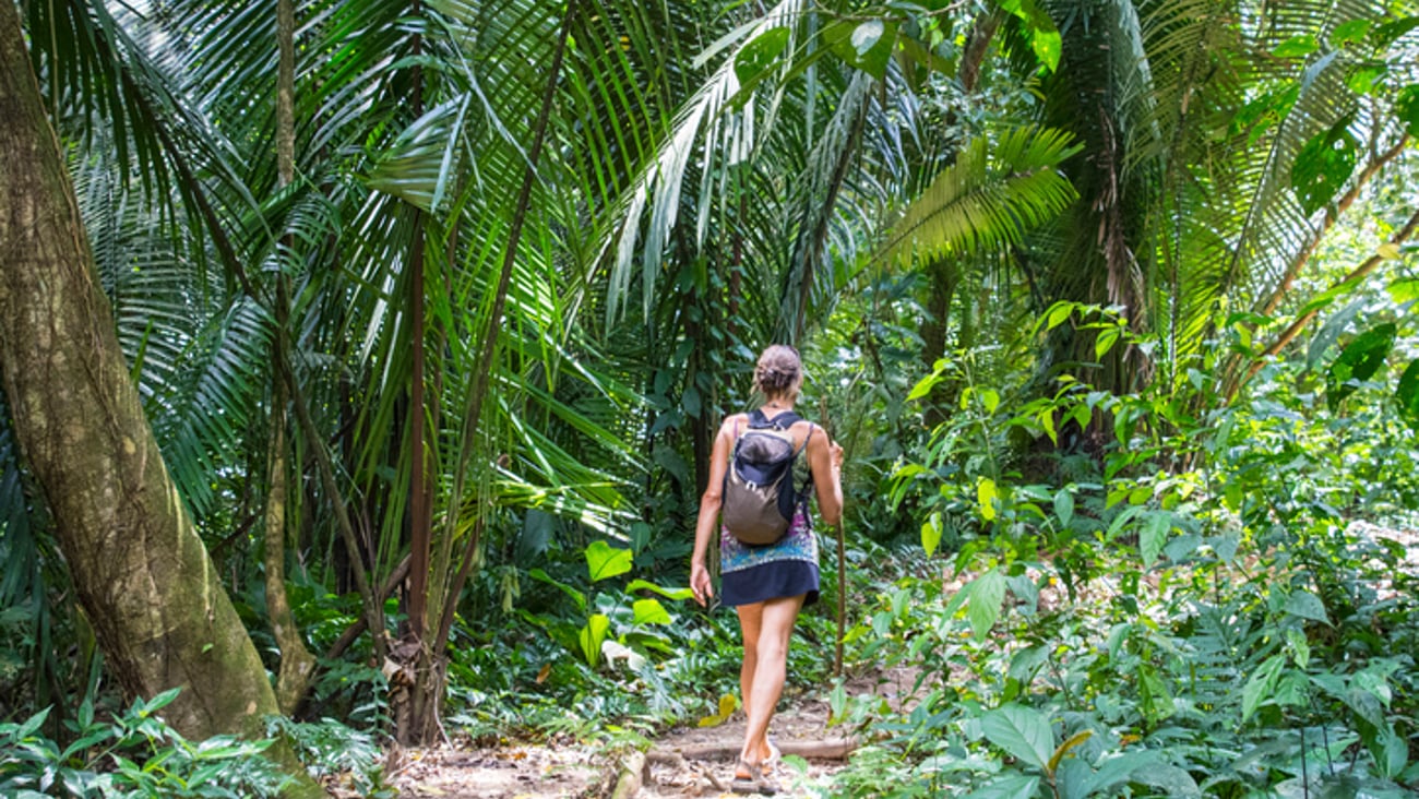 Une femme fait une randonnée dans une jungle tropicale.