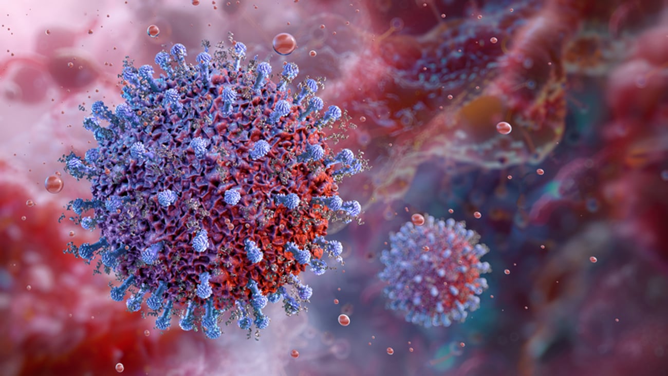 Représentation du cytomégalovirus.