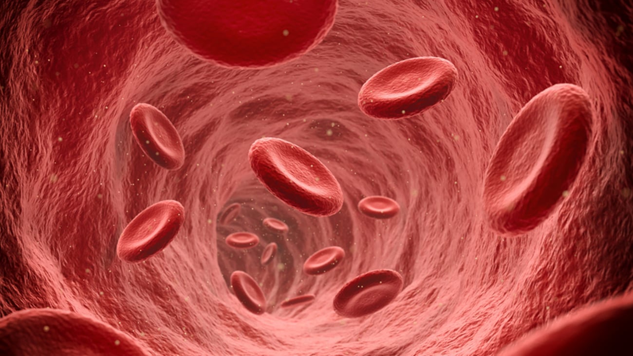 Représentation de globules rouges circulant dans une veine ou un vaisseau.