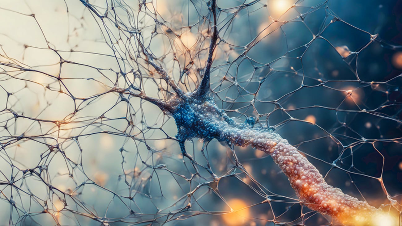 Représentation d'un réseau de neurone.