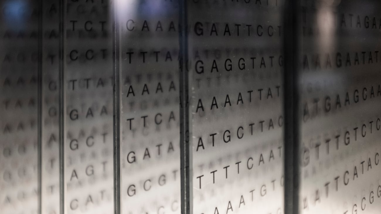 Rangées de codes ARN et ADN