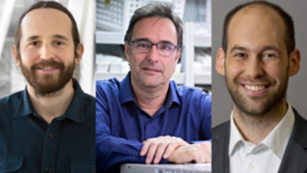 Le Dr François Graham, Jean-François Bussières et le Pr Philippe Bégin. 