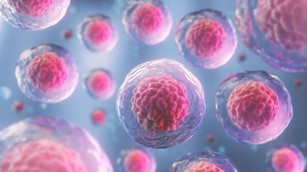 3d rendering of Human cell or Embryonic stem cell microscope background.; Shutterstock ID 1229814643