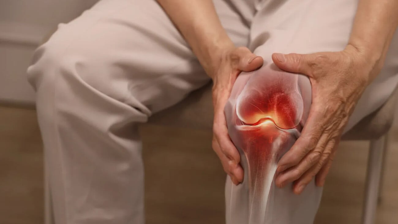 Close-up of an elderly woman holding her knee with her hand in pain due to arthritis; Shutterstock ID 2473439417