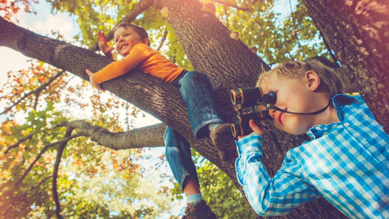 Des enfants s'amusent sous un arbre.