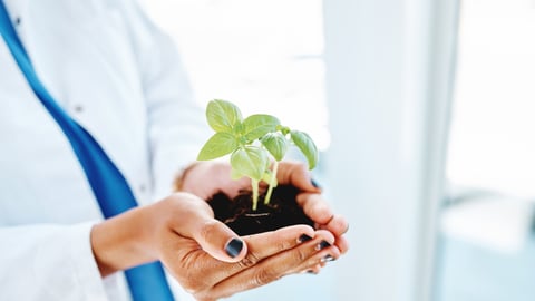 Une médecin porte une plante