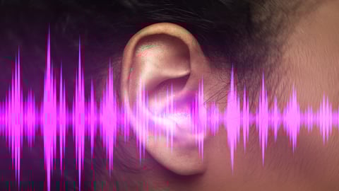 Oreille avec fréquences sonores