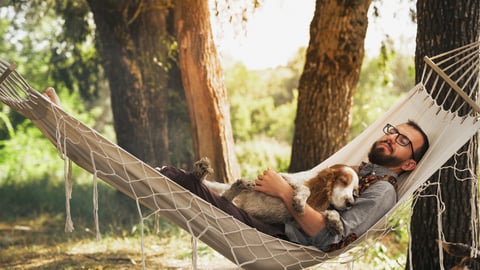 Un homme relaxe sur un hamac avec son chien.