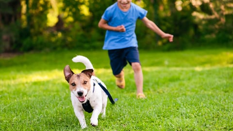 Enfant qui court avec un chien