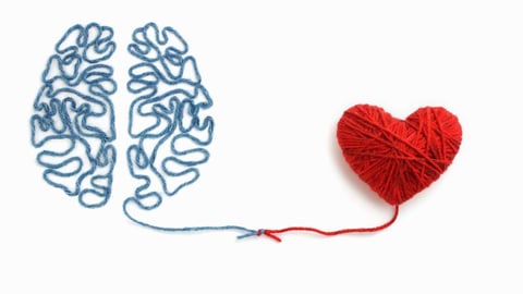 Un coeur et un cerveau connectés faits avec du fil