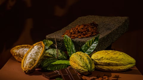 Cacao, chocolat et fèves de cacaoyer.
