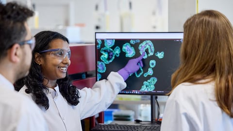 Des scientifiques discutent d'images microscopiques à l'écran.