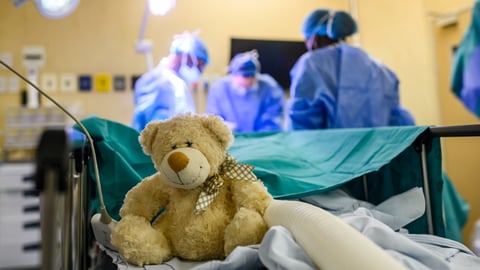 ours en peluche dans une salle d'operation