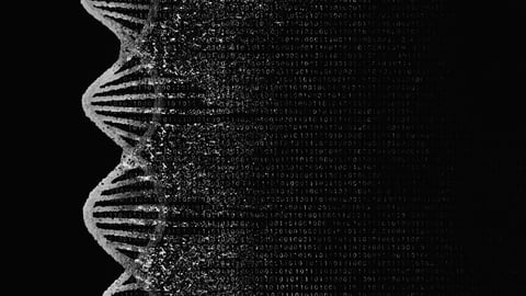 ADN. Crédit photo: Ole_CNX/ Getty Images