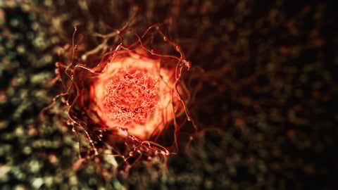 Vue d'une cellule cancéreuse. Crédit photo: koto_feja/ Getty Images