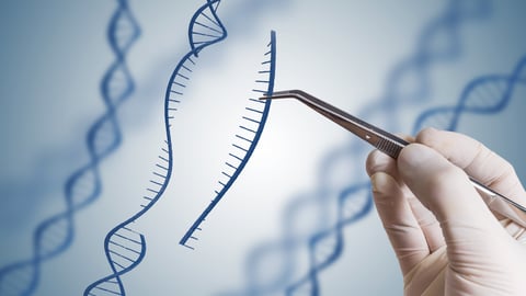  Il est possible de modifier des gènes très précisément grâce à CRISPR. Crédit photo: vchal/ Getty Images 