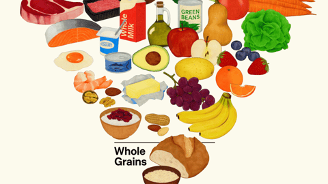 Pyramide tirée du Guide alimentaire américain - 2026