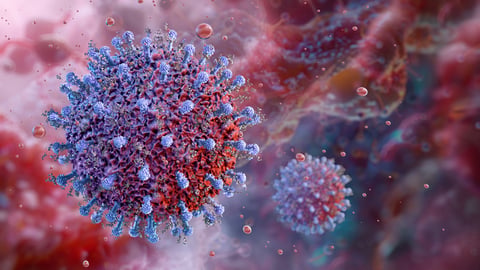 Représentation du cytomégalovirus.