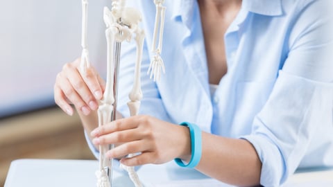 Représentation de la santé osseuse, avec un modèle de squelette.
