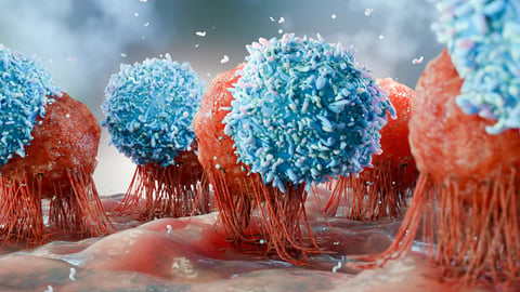 Réponse immunitaire de lymphocytes T