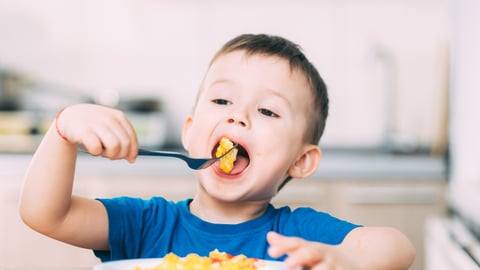 Un enfant mange des oeufs à son repas.