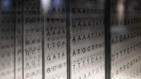 Rangées de codes ARN et ADN