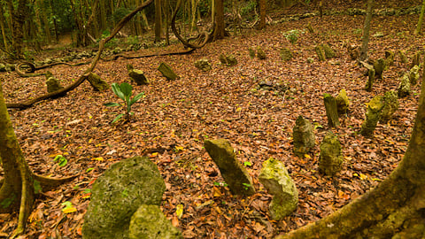 Le site d'Amelbati, ancien lieu de cérémonies cannibales au Vanuatu. (Photo Eric Lafforgue/Art In All Of Us/Corbis/Getty Images)
