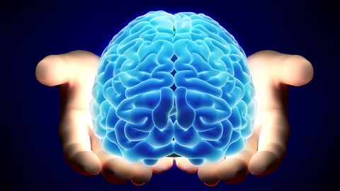 Un cerveau lumineux bleu est tenu dans des mains.