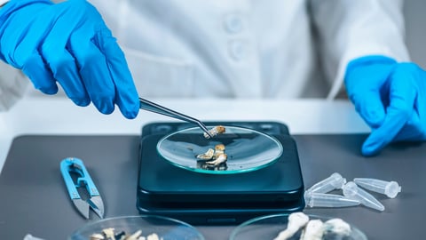 Measuring Psilocybin Magic Mushroom Micro Doses in Laboratory for A Scientific Experiment; Shutterstock ID 1763248556