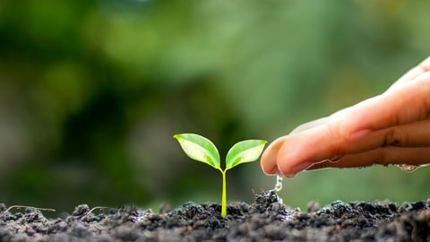 Farmers are watering small plants by hand with the concept of World Environment Day.; Shutterstock ID 1890696622