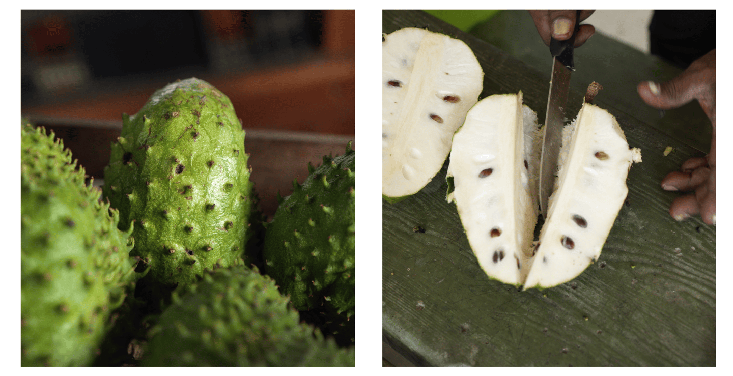 Corossol, fruit du corossolier (Annona muricata)